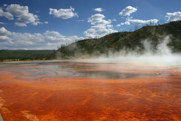 The colors of Grand Prismatic Spring