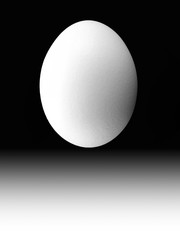 egg on black