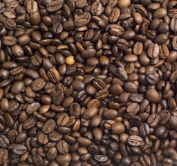 close-up view of coffee beans