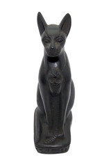 Black Egyptian cat isolated on white background