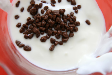 yogurt