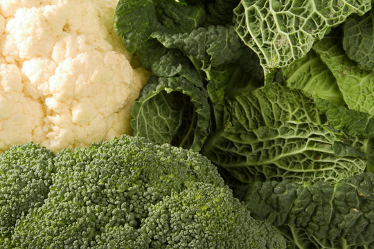 Brassicas - Cabbage, Cauliflower and Broccoli