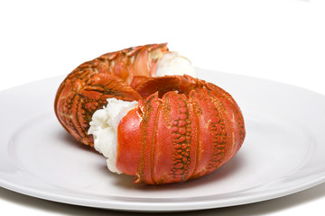 Fresh cooked lobster tails on a white plate