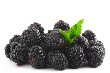 Blackberries on white background