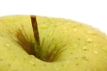 Apple. macro