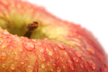 Apple. macro