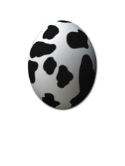 cow egg
