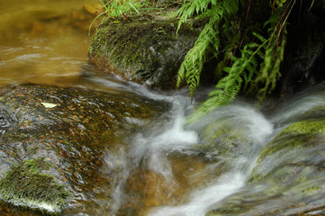 ruissellement de l'eau sur les pierres
