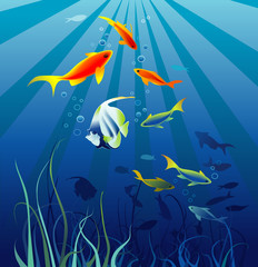 Sea life. Fish, seaweeds. Space for text. Vector illustration