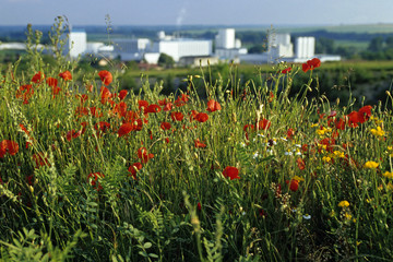 USINE ET CAMPAGNE