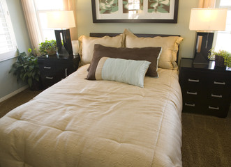 Modern luxury home bedroom.