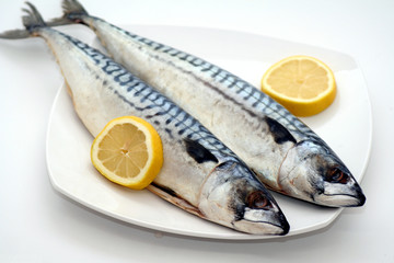 Makrelen