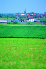 Fototapeta premium paysage de campagne en loire atlantique 44
