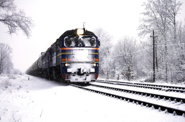 Winter train