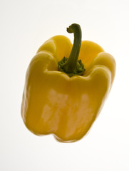 yellow capsicum