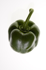 capsicum