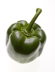capsicum