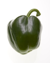 capsicum