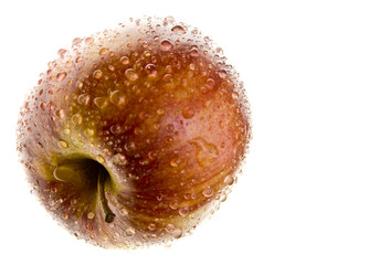 wet apple