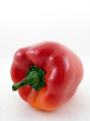 Pepper