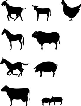 farm animal vector file