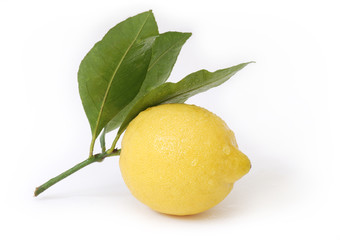 limone fresco