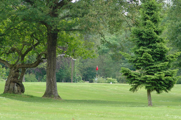 drapeau sur green 2