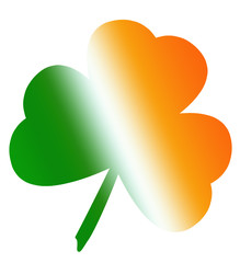  irish clover