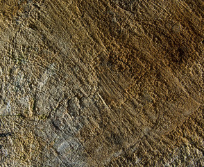 wood texture