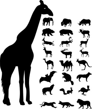 wild animals icon and silhouette vector file