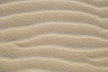 Fototapeta na wymiar piasek na plaży
