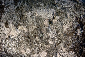 gneiss or granite