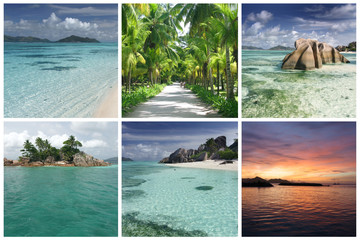 paradis ile tropique exotique lagon océan bleu cocotier