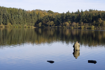 Man fishing at a local reservoir, fresh water, green landscape.
