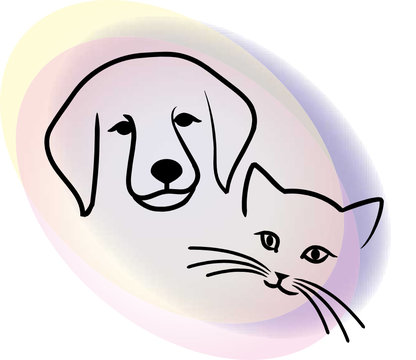 Dog and cat