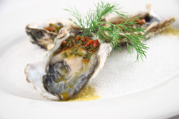 oyster