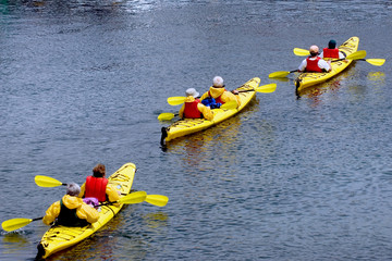 Group of senior citizens kayaking near Bar Harbor, Maine