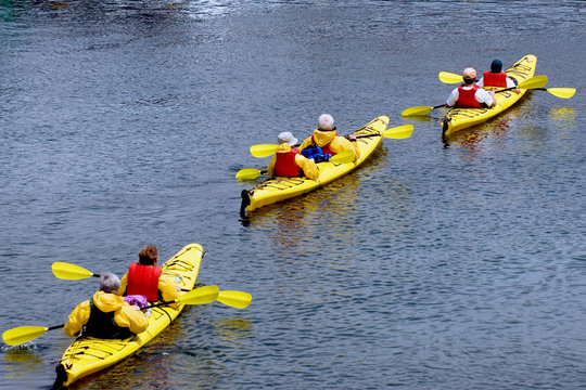 Group Of Senior Citizens Kayaking Near Bar Harbor, Maine