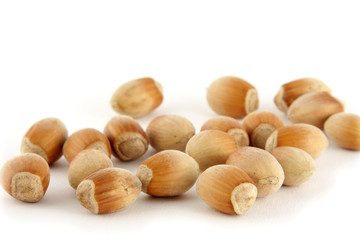 Hazel nuts