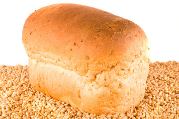 Brown Loaf on Wheat