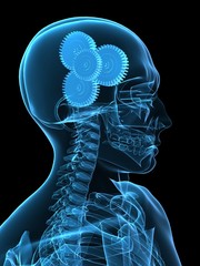 r&ouml;ntgenbild kopf mit zahnr&auml;dern