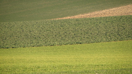 géomètries de nos campagnes