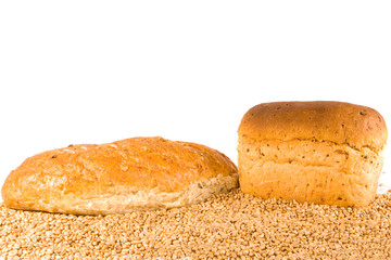 Two different brown loaves on wheat with copy space