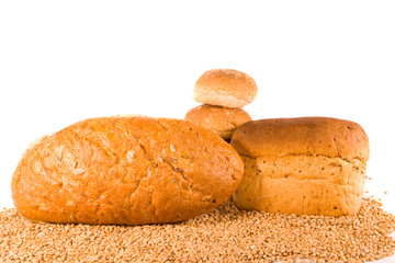 Brown Breads on Wheat Grains
