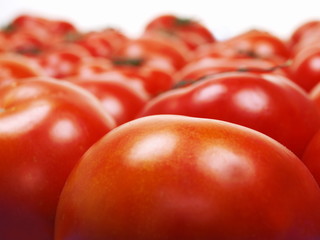 tomaten