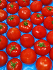 tomaten