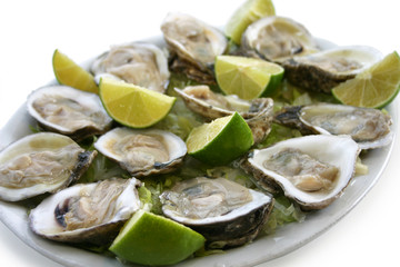 Oyster Plate Side View