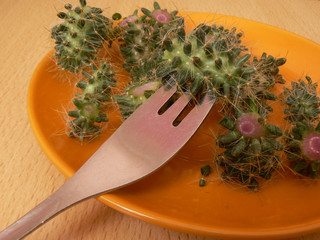Salad from cactus. Vegetarian food
