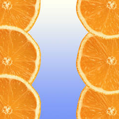 Fresh Orange Slices