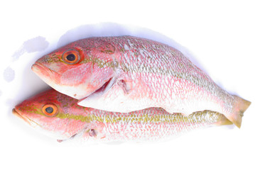 Raw Fresh Fish from the Market .